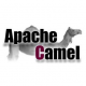 Apache Camel Training in Morocco