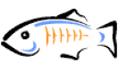 GlassFish Training in Morocco