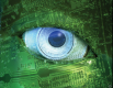 Machine Vision Training in Morocco