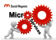 Image for Microservices category