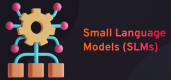 Small Language Models (SLMs) Training in Morocco