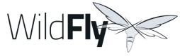 Wildfly Training in Morocco